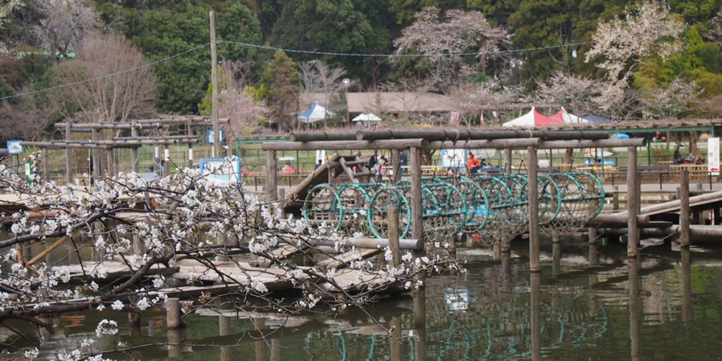 野田市